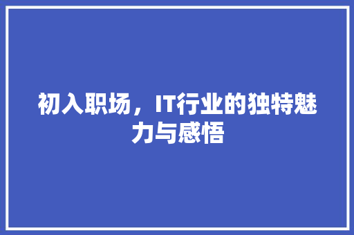 初入职场，IT行业的独特魅力与感悟