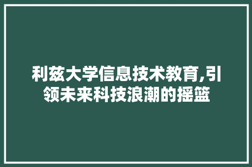 利兹大学信息技术教育,引领未来科技浪潮的摇篮