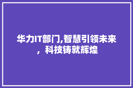 华力IT部门,智慧引领未来，科技铸就辉煌 必应SEO