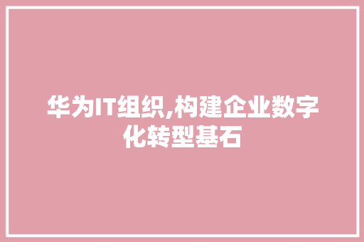 华为IT组织,构建企业数字化转型基石 SEO关键词