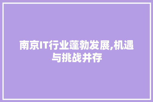 南京IT行业蓬勃发展,机遇与挑战并存