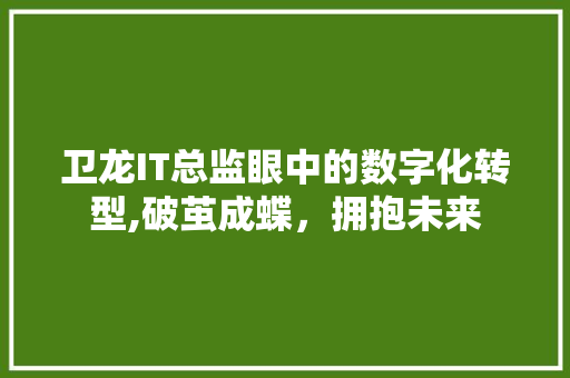 卫龙IT总监眼中的数字化转型,破茧成蝶，拥抱未来