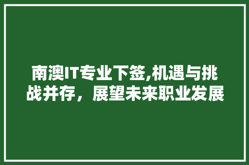 南澳IT专业下签,机遇与挑战并存，展望未来职业发展