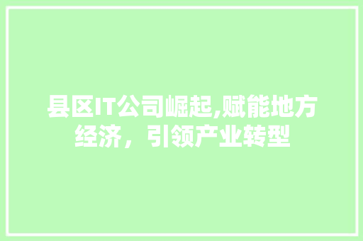 县区IT公司崛起,赋能地方经济，引领产业转型 必应SEO