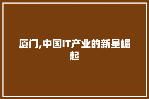 厦门,中国IT产业的新星崛起