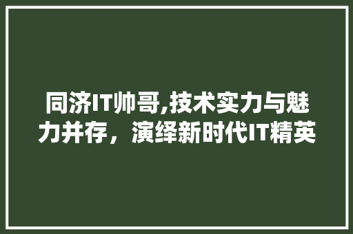 同济IT帅哥,技术实力与魅力并存，演绎新时代IT精英风采 神马SEO
