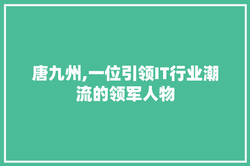 唐九州,一位引领IT行业潮流的领军人物