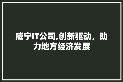 咸宁IT公司,创新驱动，助力地方经济发展