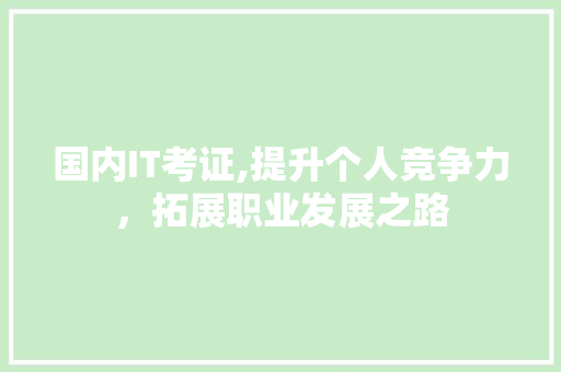国内IT考证,提升个人竞争力，拓展职业发展之路