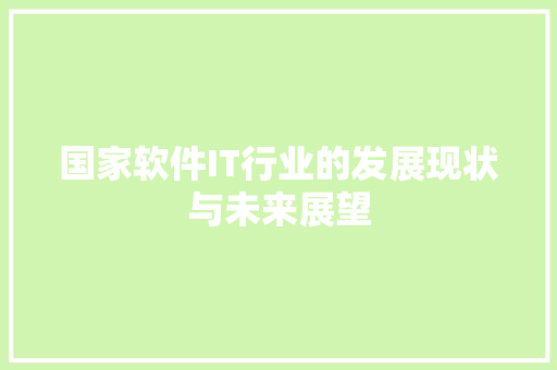 国家软件IT行业的发展现状与未来展望