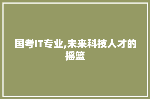国考IT专业,未来科技人才的摇篮