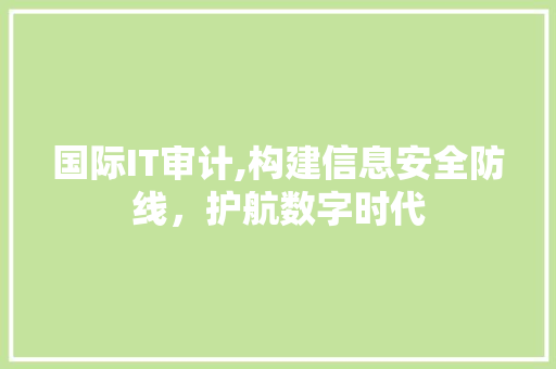 国际IT审计,构建信息安全防线，护航数字时代