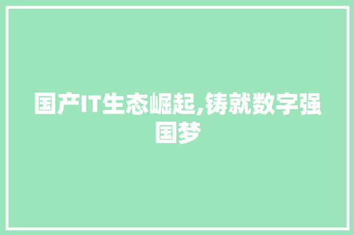 国产IT生态崛起,铸就数字强国梦