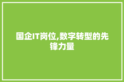 国企IT岗位,数字转型的先锋力量