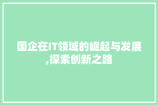 国企在IT领域的崛起与发展,探索创新之路