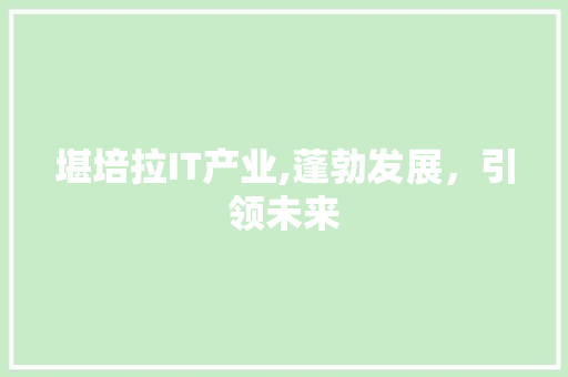 堪培拉IT产业,蓬勃发展，引领未来