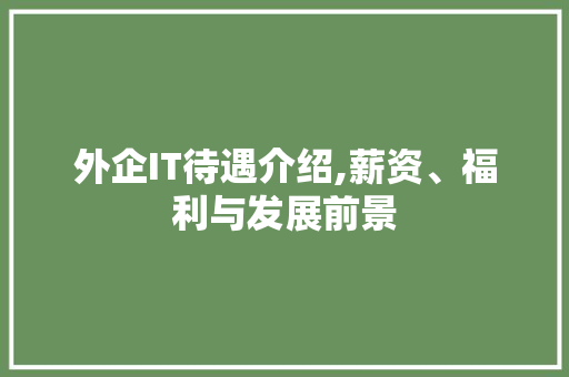 外企IT待遇介绍,薪资、福利与发展前景