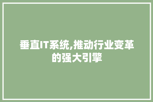 垂直IT系统,推动行业变革的强大引擎 SEO关键词