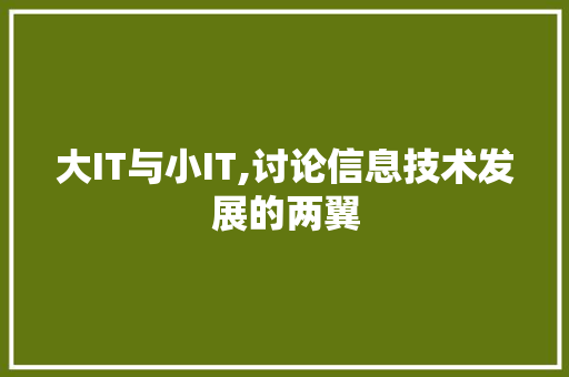 大IT与小IT,讨论信息技术发展的两翼 必应SEO