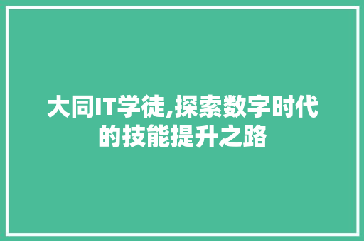 大同IT学徒,探索数字时代的技能提升之路