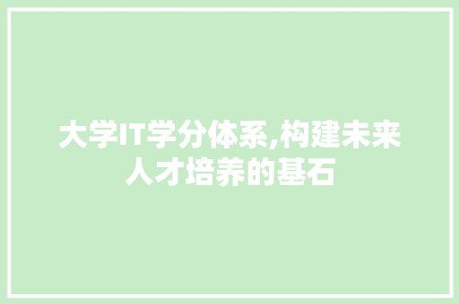 大学IT学分体系,构建未来人才培养的基石