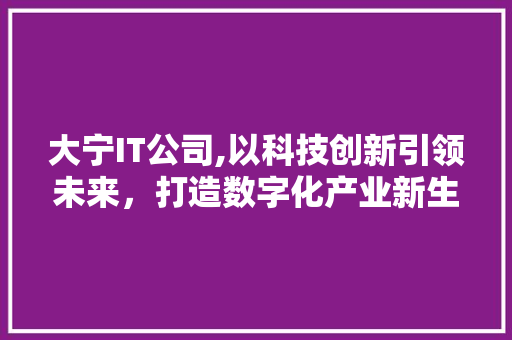 大宁IT公司,以科技创新引领未来，打造数字化产业新生态