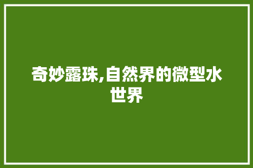 奇妙露珠,自然界的微型水世界