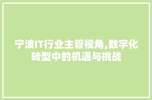 宁波IT行业主管视角,数字化转型中的机遇与挑战