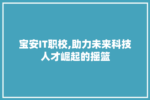 宝安IT职校,助力未来科技人才崛起的摇篮