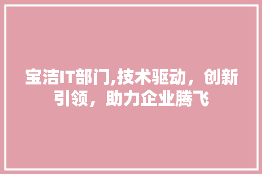 宝洁IT部门,技术驱动，创新引领，助力企业腾飞
