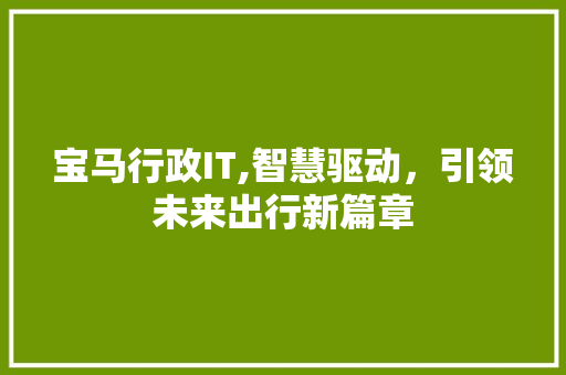 宝马行政IT,智慧驱动，引领未来出行新篇章