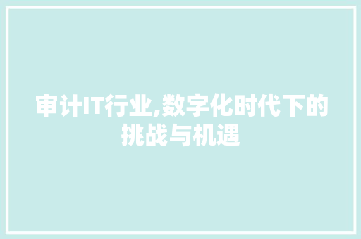 审计IT行业,数字化时代下的挑战与机遇