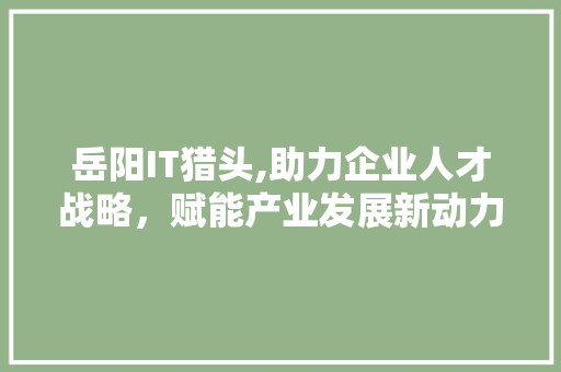 岳阳IT猎头,助力企业人才战略，赋能产业发展新动力