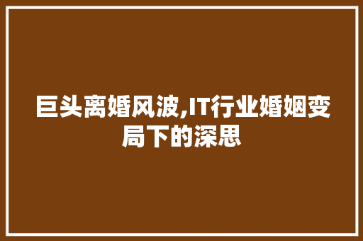 巨头离婚风波,IT行业婚姻变局下的深思
