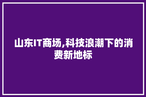 山东IT商场,科技浪潮下的消费新地标