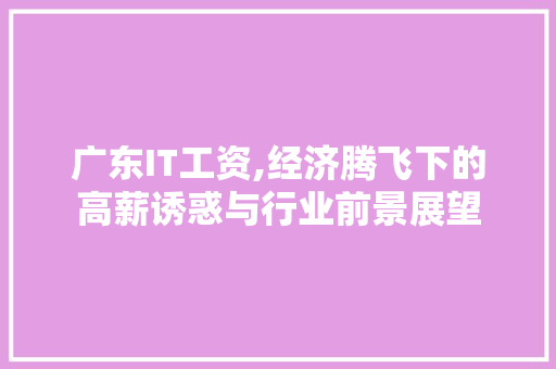 广东IT工资,经济腾飞下的高薪诱惑与行业前景展望