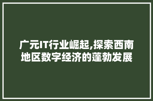 广元IT行业崛起,探索西南地区数字经济的蓬勃发展