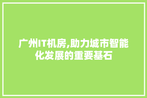 广州IT机房,助力城市智能化发展的重要基石