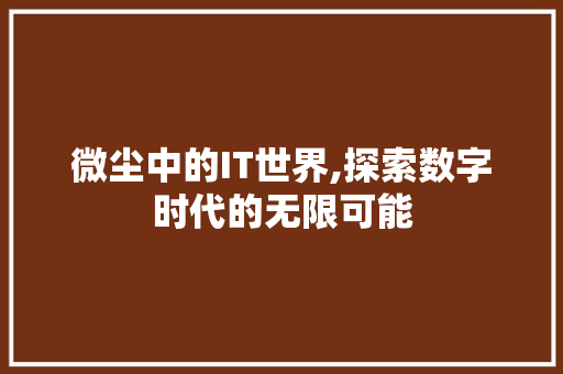 微尘中的IT世界,探索数字时代的无限可能