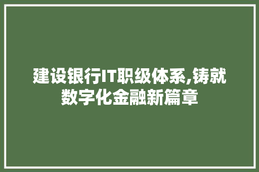 建设银行IT职级体系,铸就数字化金融新篇章