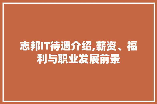 志邦IT待遇介绍,薪资、福利与职业发展前景