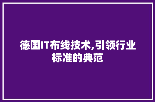 德国IT布线技术,引领行业标准的典范