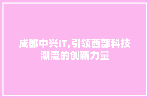 成都中兴IT,引领西部科技潮流的创新力量 网站建设公司