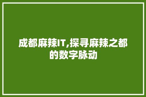 成都麻辣IT,探寻麻辣之都的数字脉动 搜狗SEO