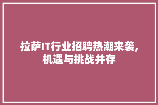 拉萨IT行业招聘热潮来袭,机遇与挑战并存