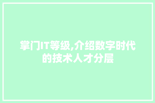 掌门IT等级,介绍数字时代的技术人才分层 神马SEO