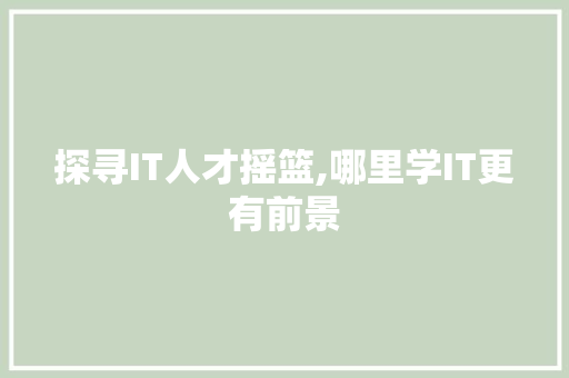 探寻IT人才摇篮,哪里学IT更有前景