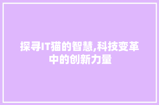 探寻IT猫的智慧,科技变革中的创新力量 必应SEO