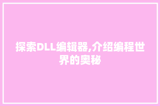 探索DLL编辑器,介绍编程世界的奥秘