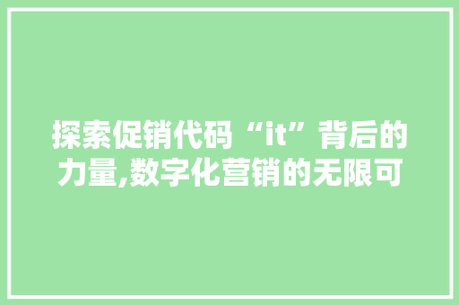 探索促销代码“it”背后的力量,数字化营销的无限可能